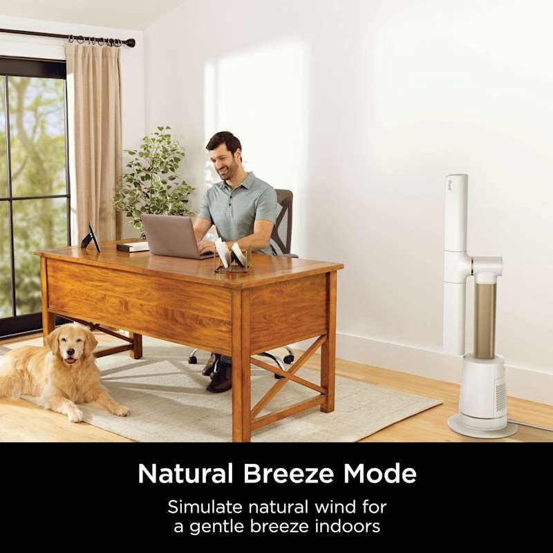 Shark TurboBlade Multi-Directional Cooling Fan